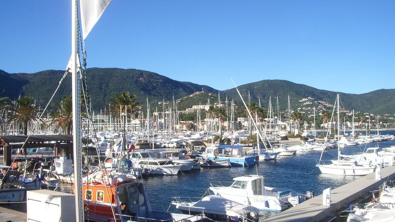 Photo of Others in Cavaliere