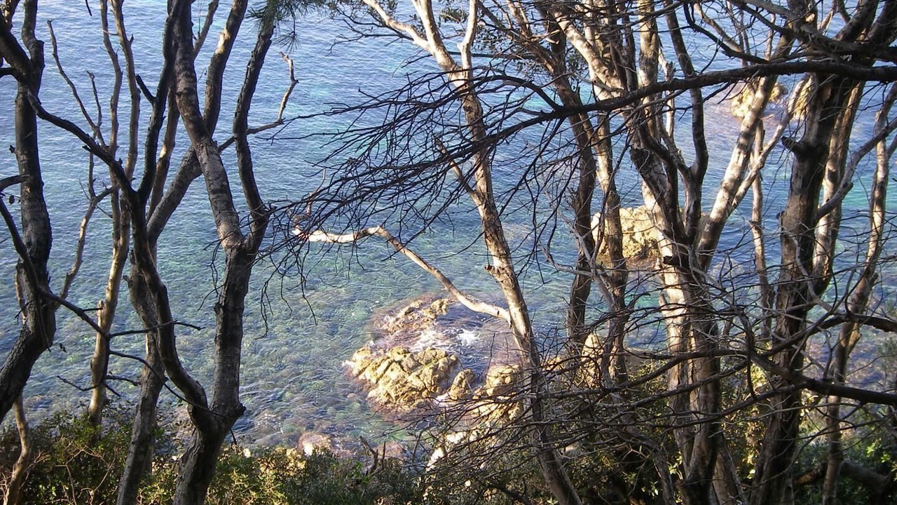 Photo of Outdoor in Cavaliere