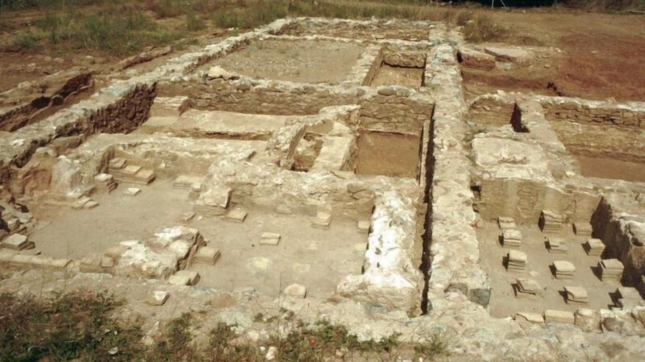 Photo of Others in Cavaliere