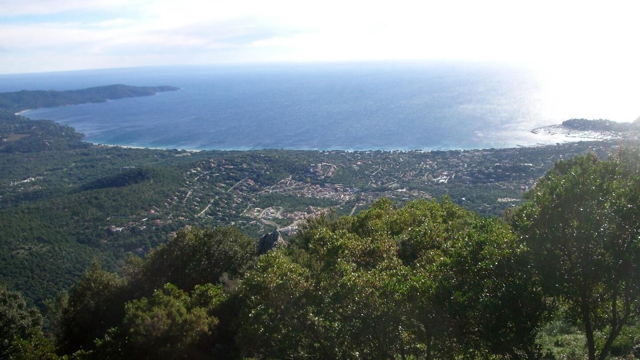 Photo of Others in Cavaliere