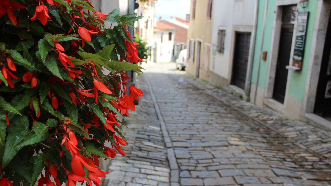 Photo of Outdoor in Motovun