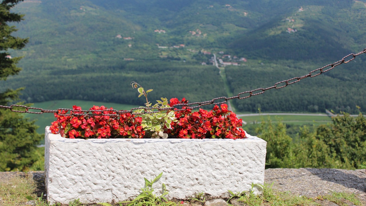 Photo of Outdoor in Motovun