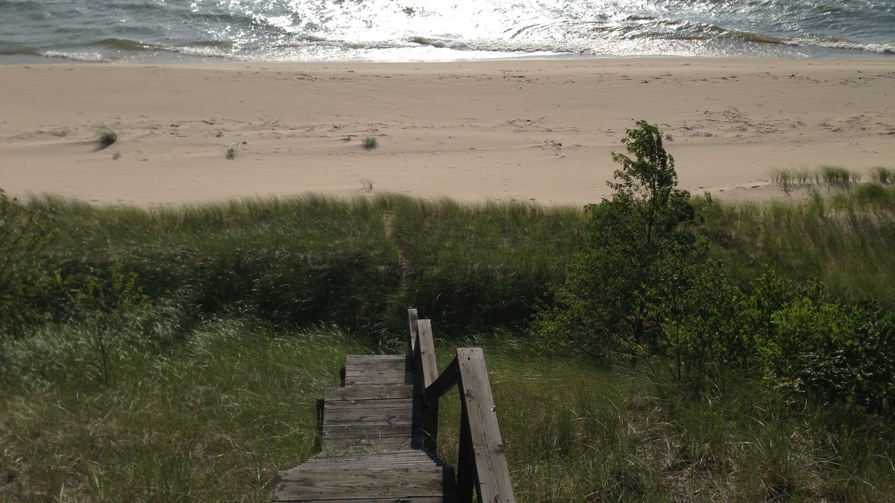 Photo of Others in West Olive