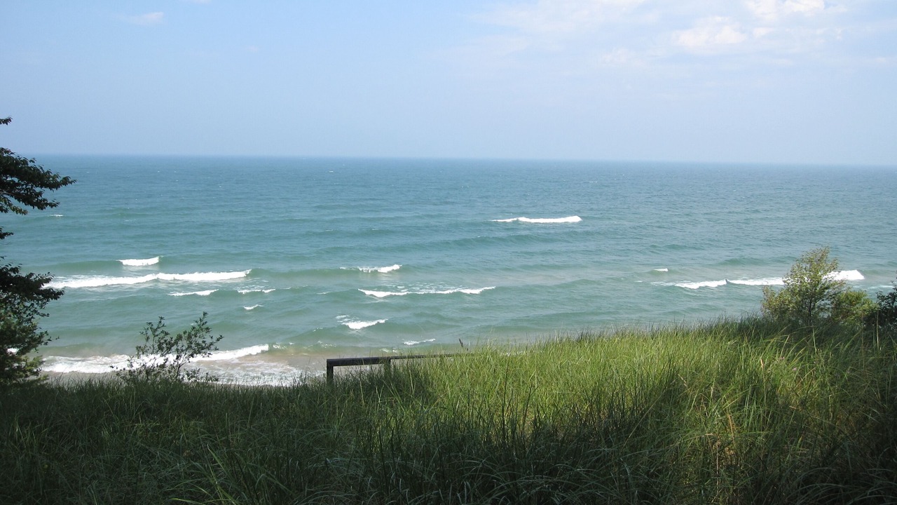 Photo of Outdoor in West Olive