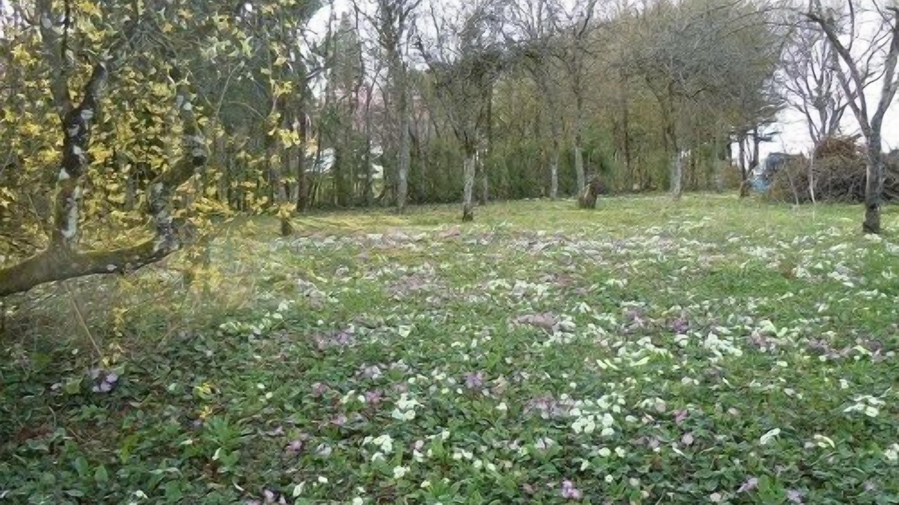 Photo of Outdoor in Merry-Sec