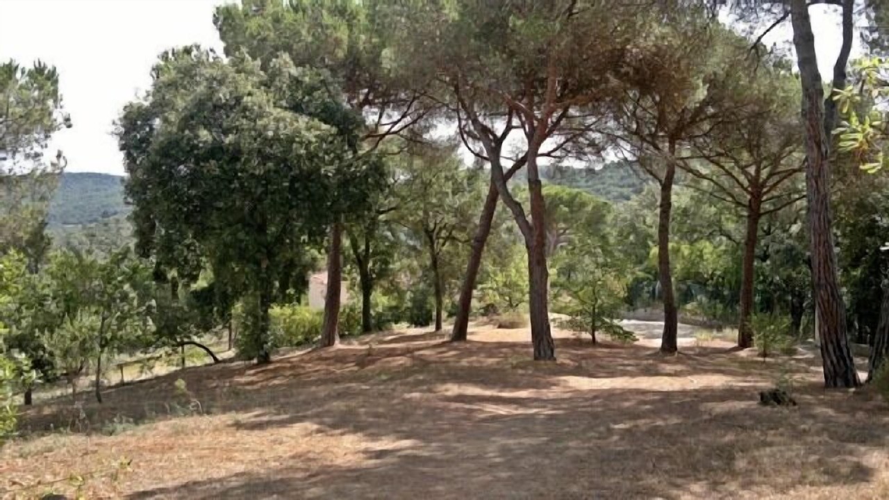 Photo of Outdoor in La Roca del Valles