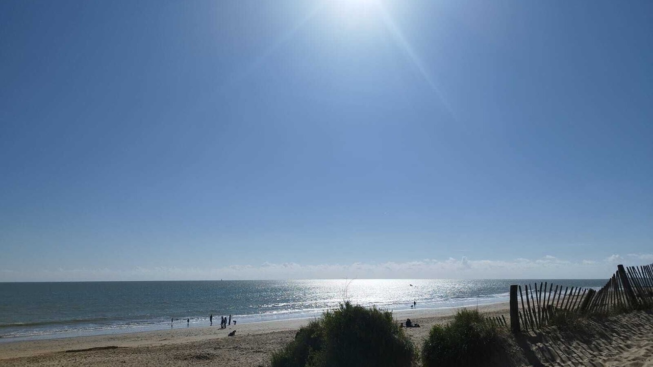 Photo of Others in La Couarde-sur-Mer