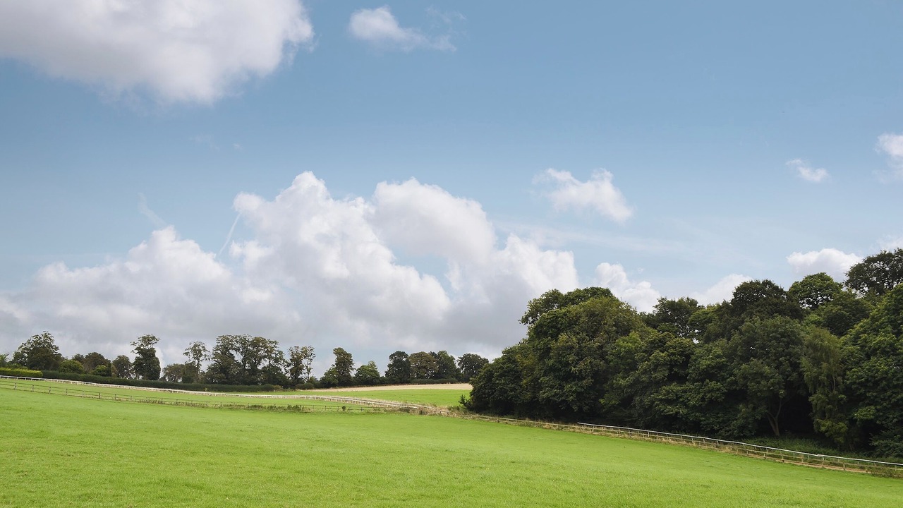 Photo of Others in Godstone