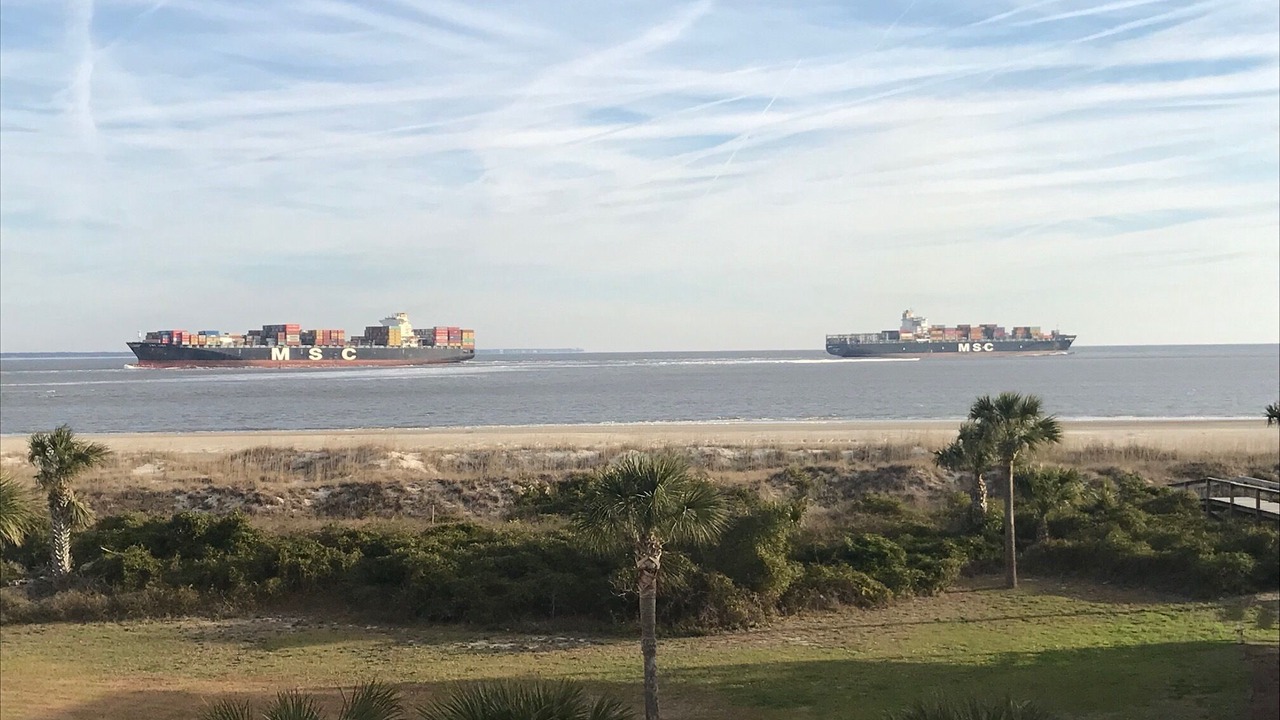 Photo of Others in Tybee Island