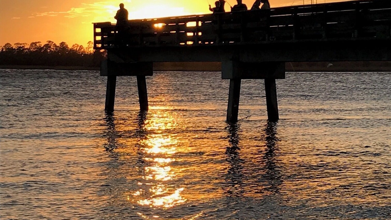 Photo of Others in Tybee Island