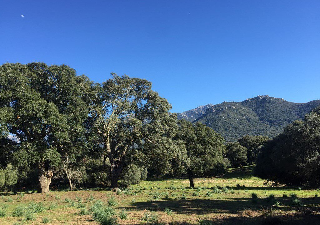 Photo of Outdoor in Sartene