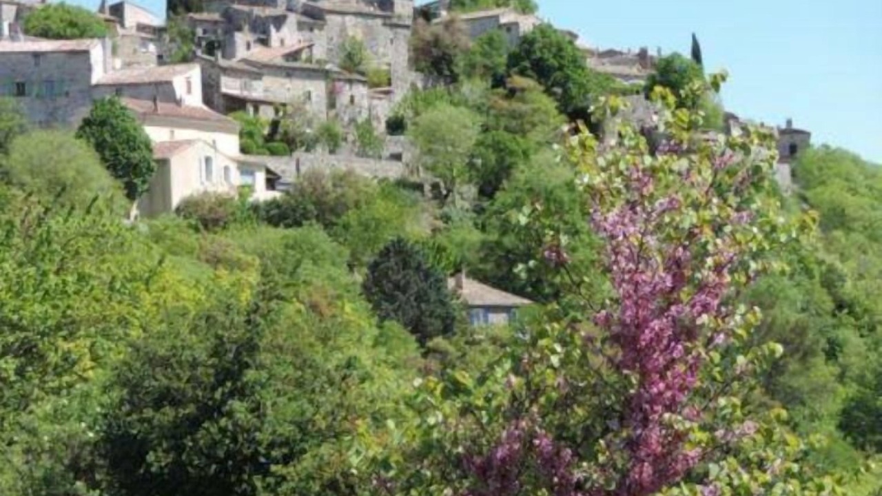 Photo of Outdoor in Saint-Thome