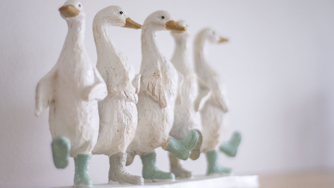 Photo of Others in Glasgow