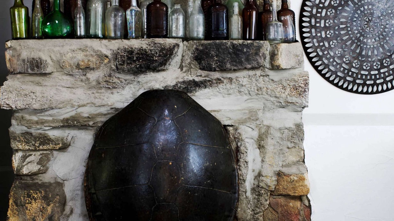 Photo of Others in Bedarra Island