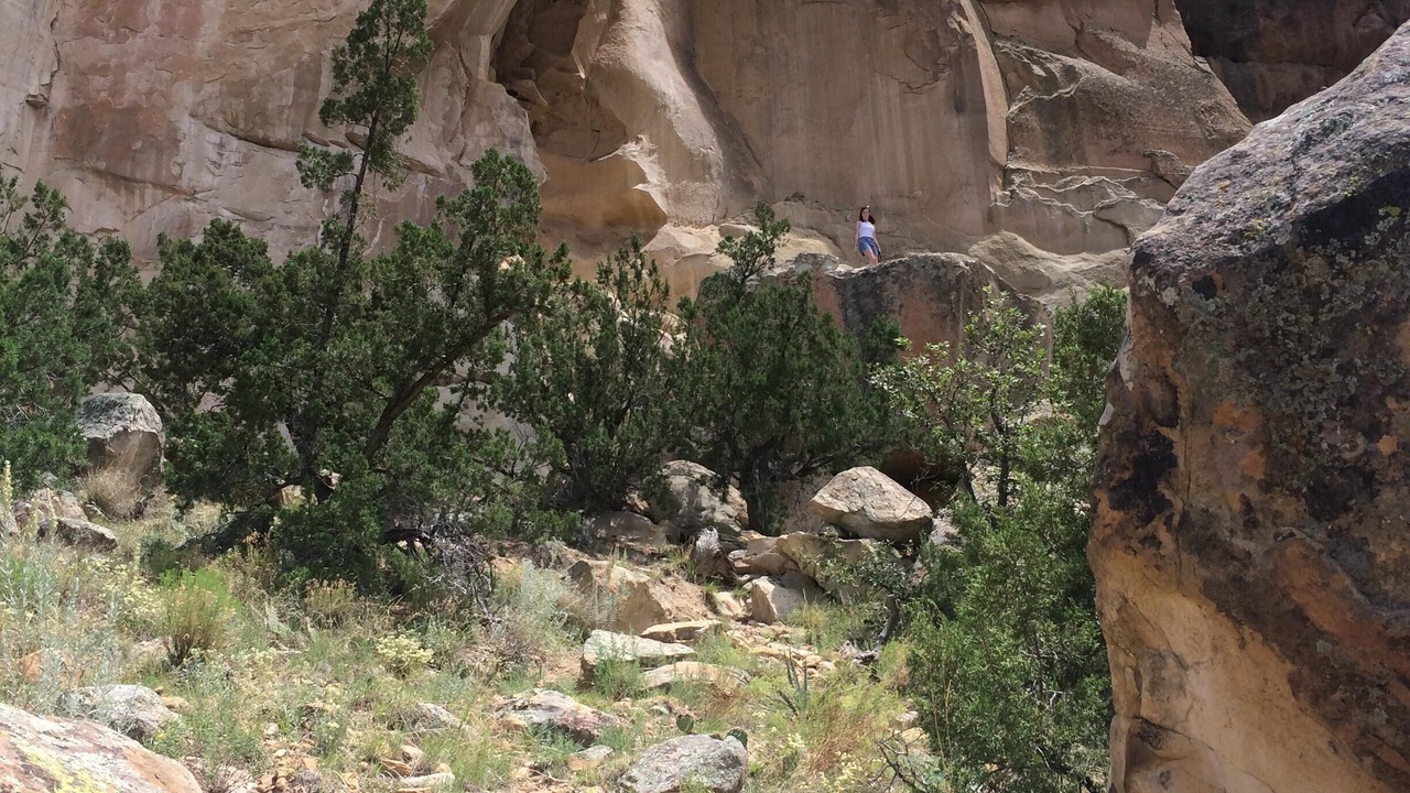 Photo of Others in Quemado