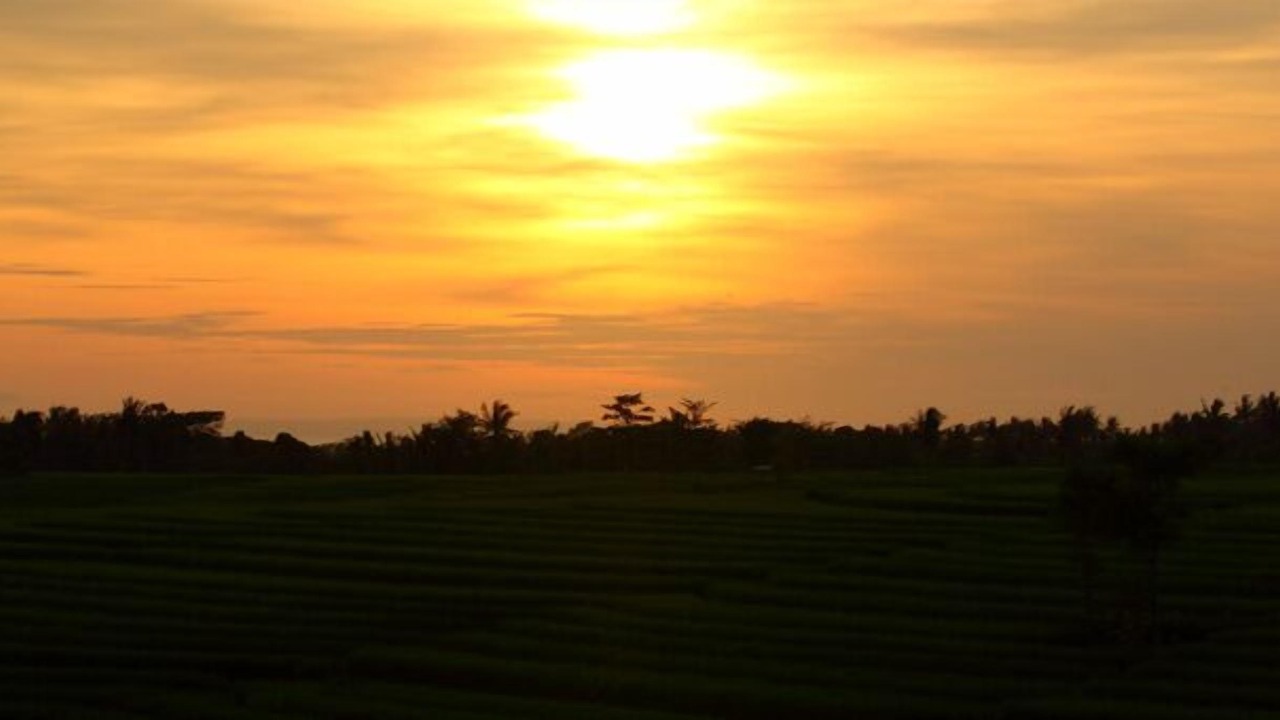 Photo of Others in East Selemadeg