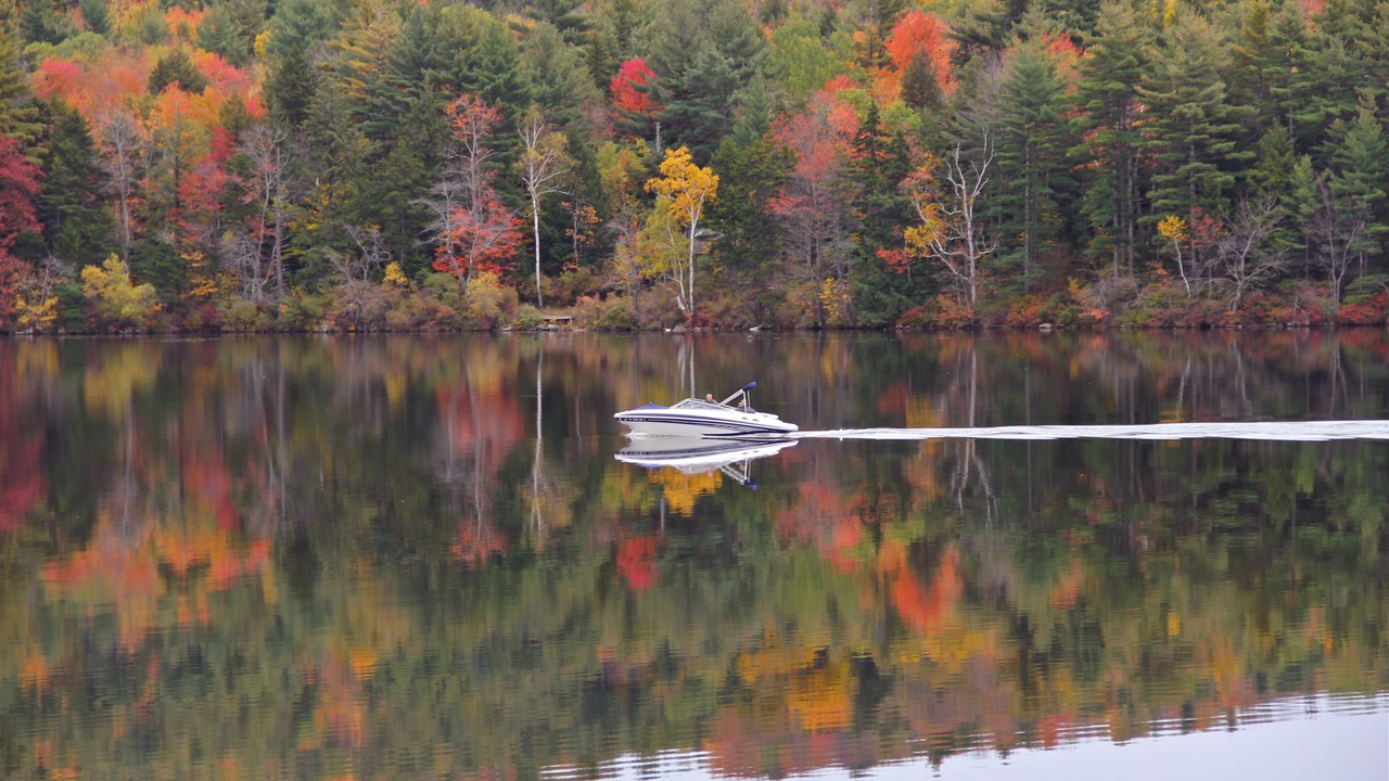 Photo of Others in Stoddard