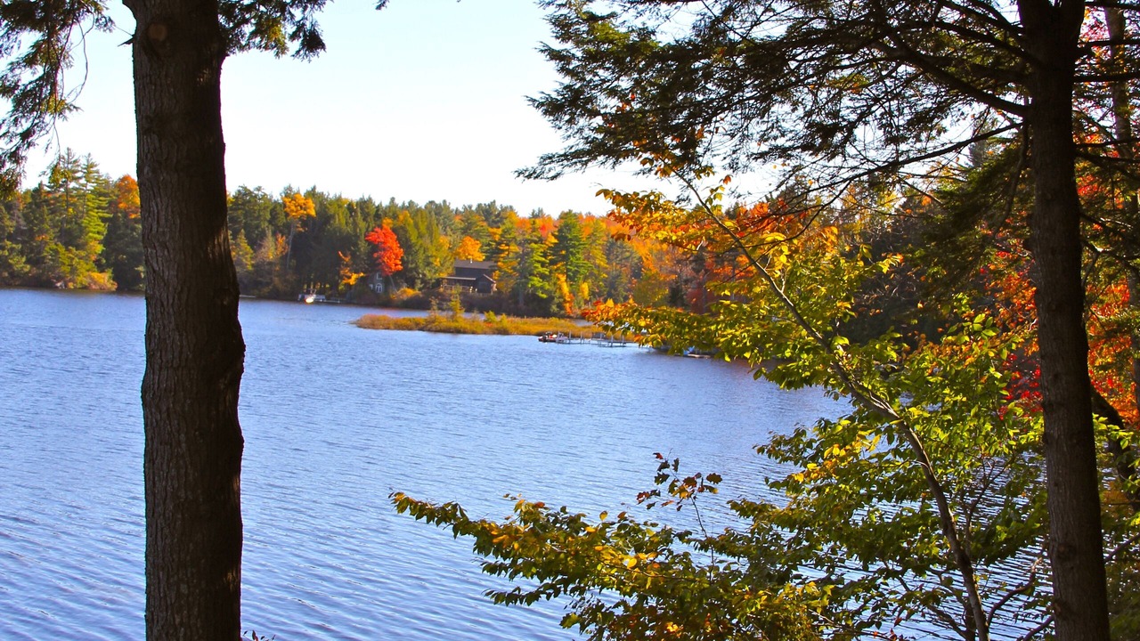 Photo of Others in Stoddard