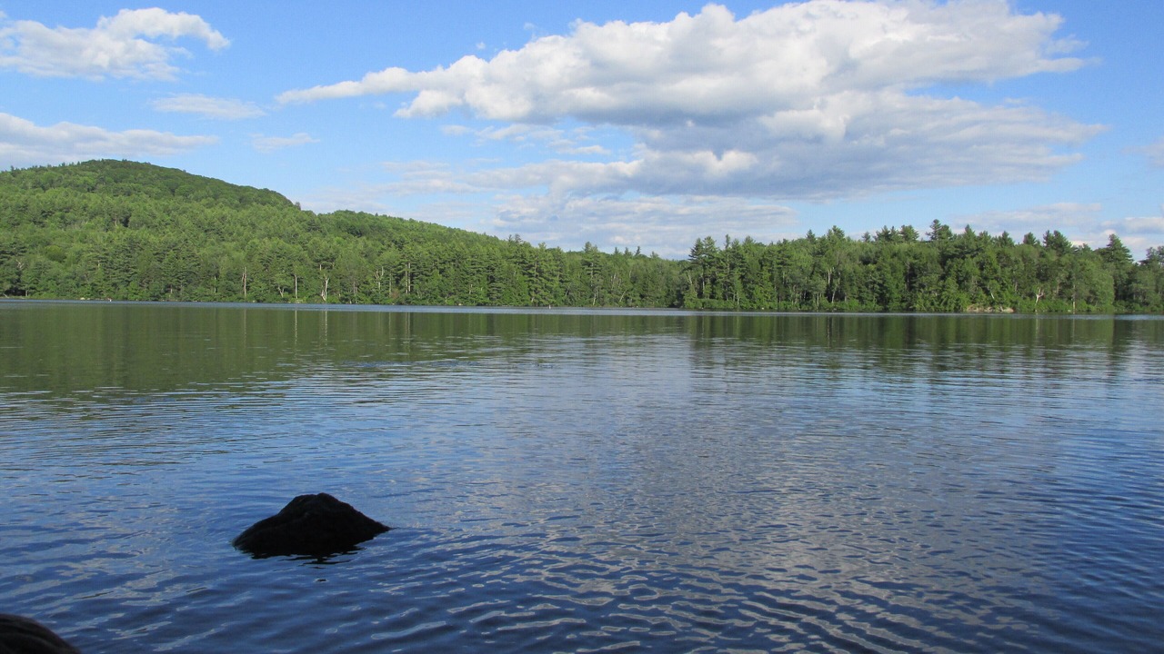 Photo of Others in Stoddard