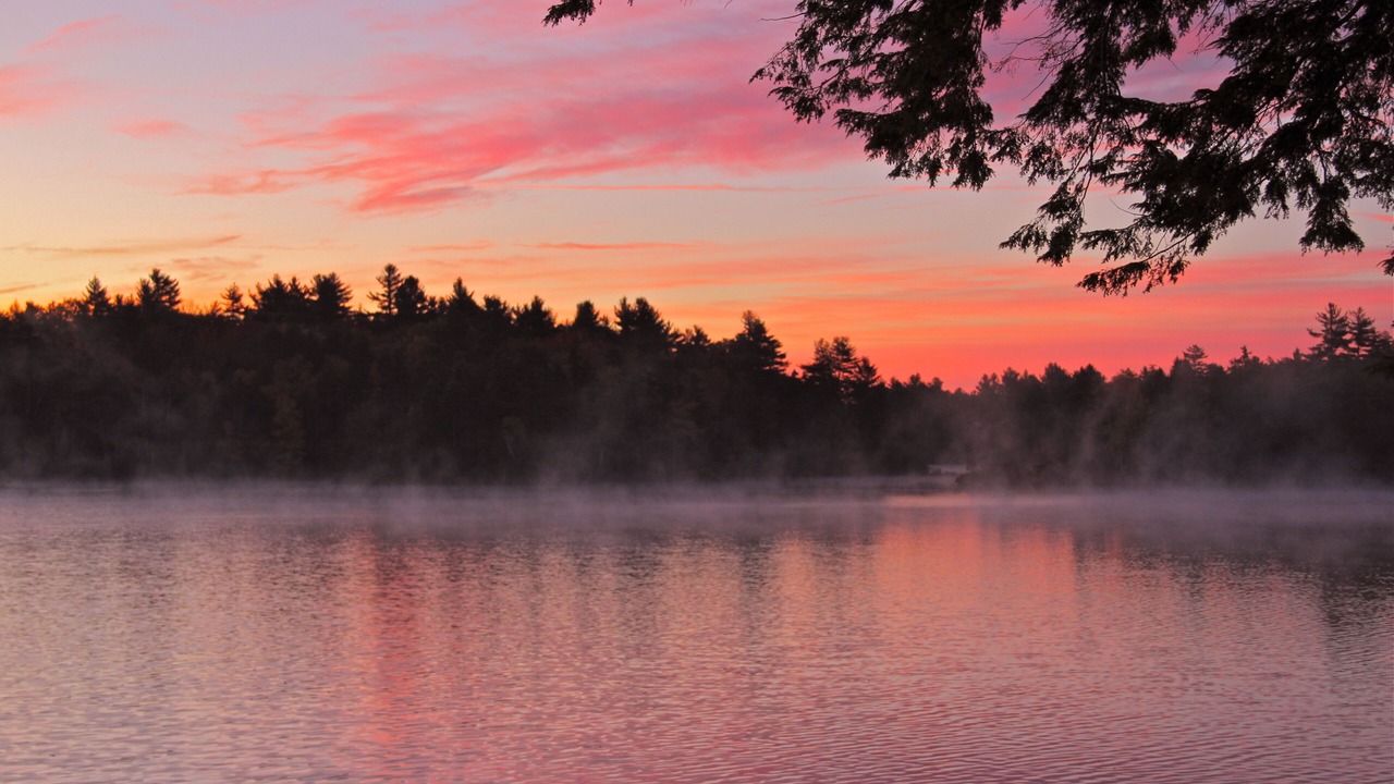 Photo of Others in Stoddard