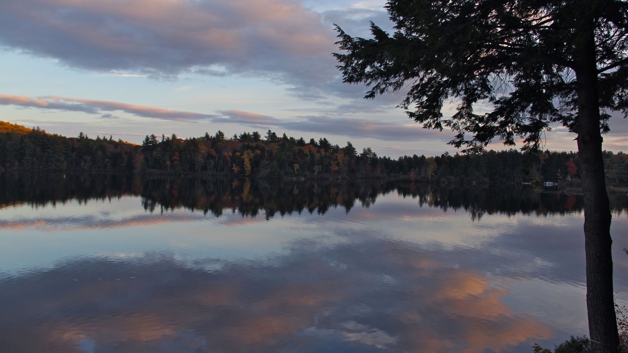 Photo of Others in Stoddard