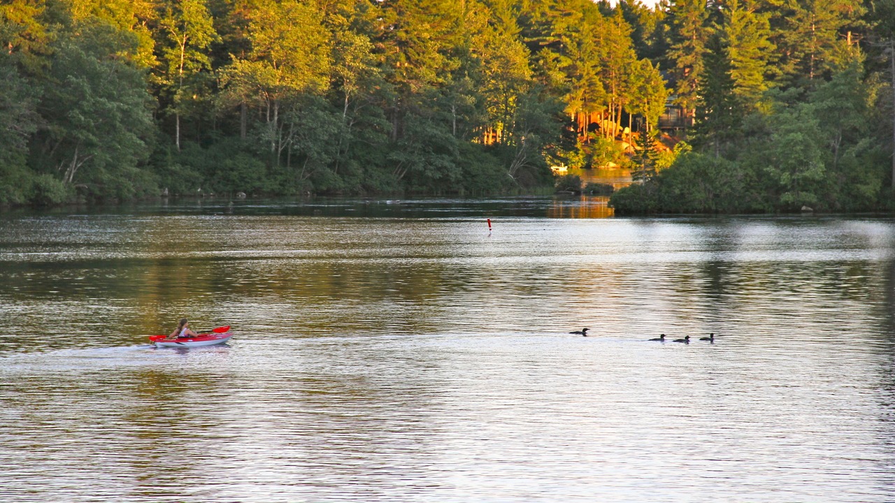 Photo of Others in Stoddard