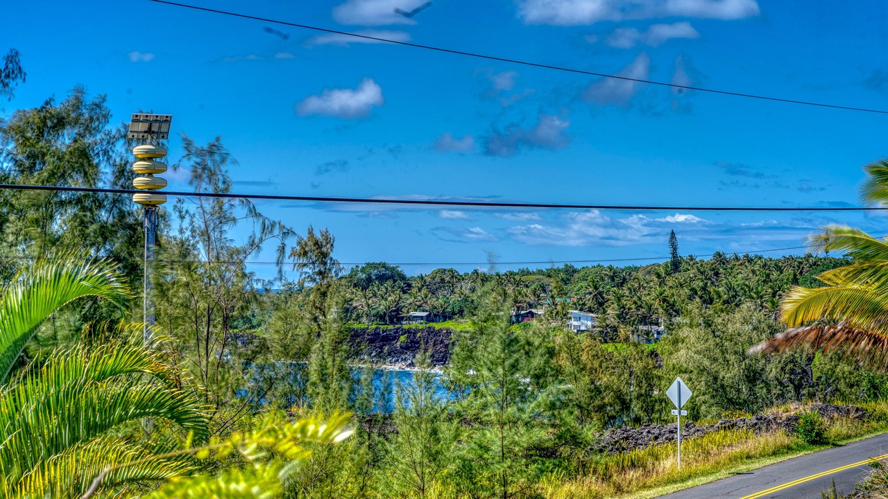 Photo of Others in Puna Palisades
