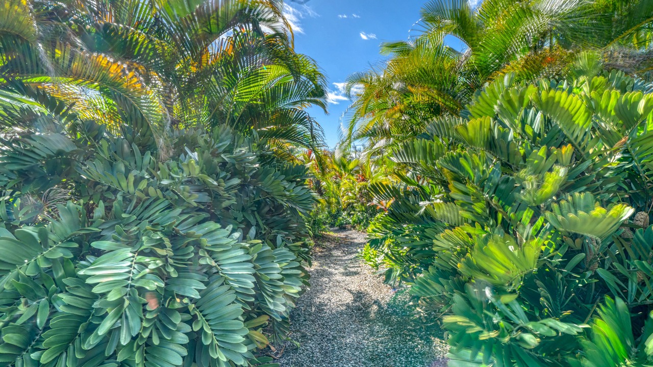 Photo of Outdoor in Puna Palisades