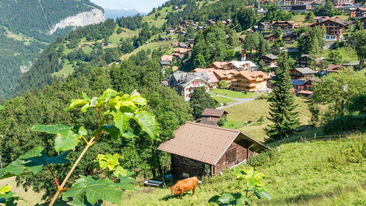 Photo of Outdoor in Wengen