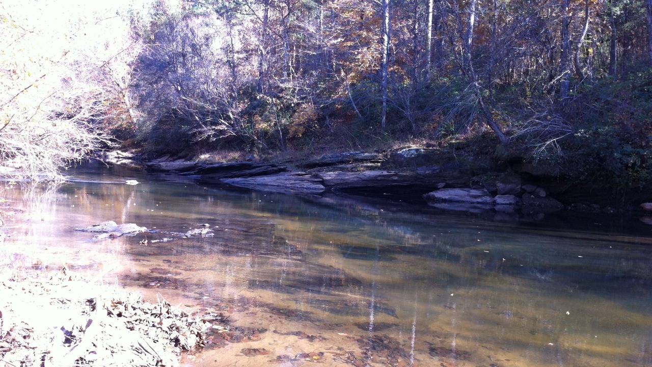 Photo of Others in Rutherfordton