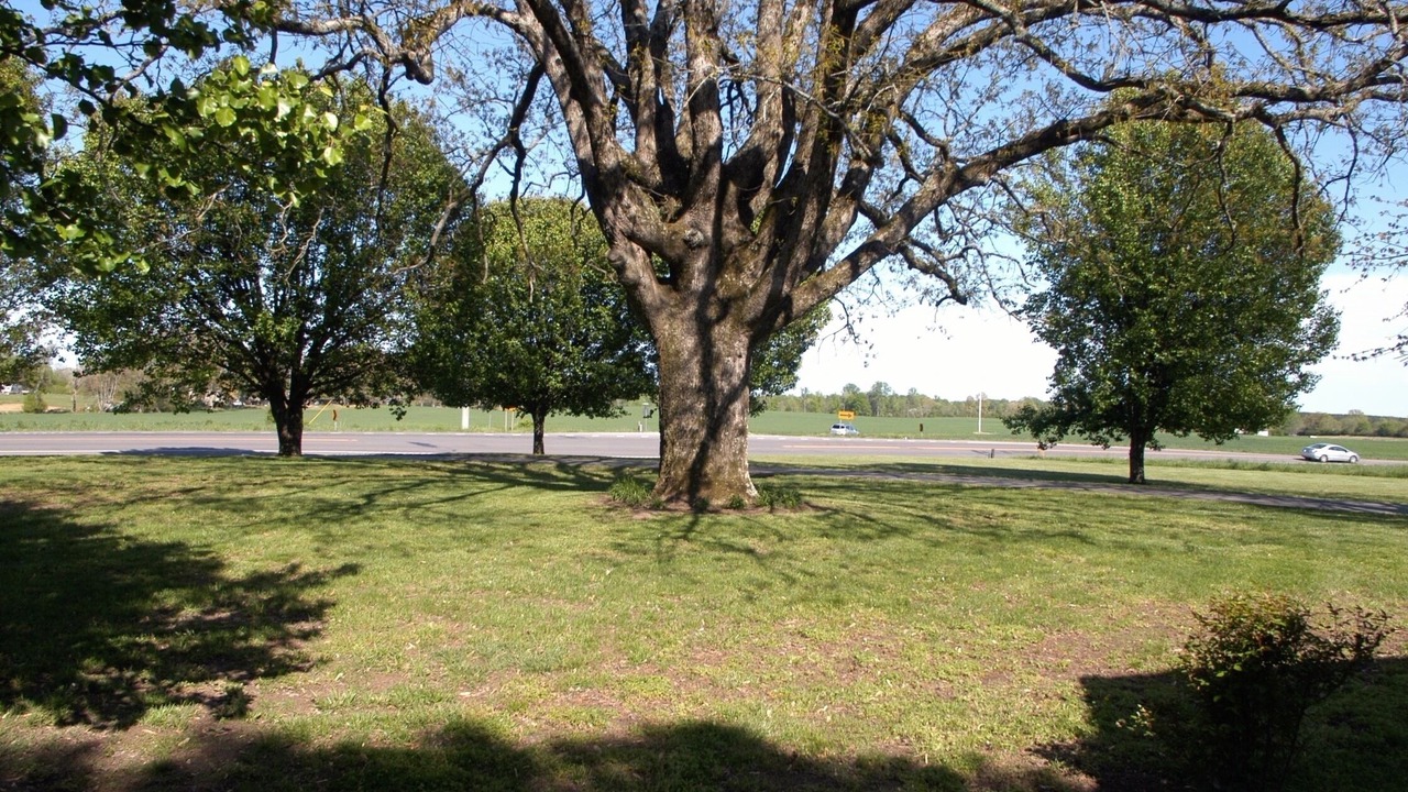 Photo of Outdoor in Lawrenceburg