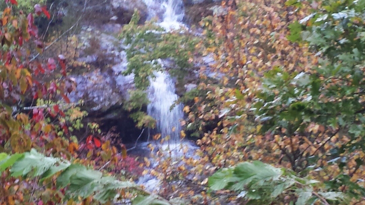 Photo of Outdoor in Kingston