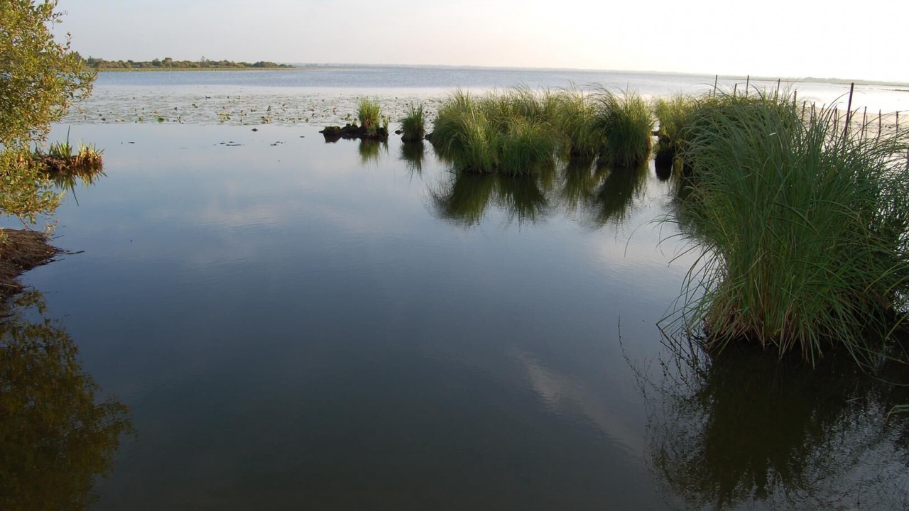Photo of Outdoor in Saint-Aignan-Grandlieu