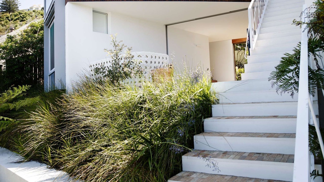 Photo of Outdoor in Whale Beach