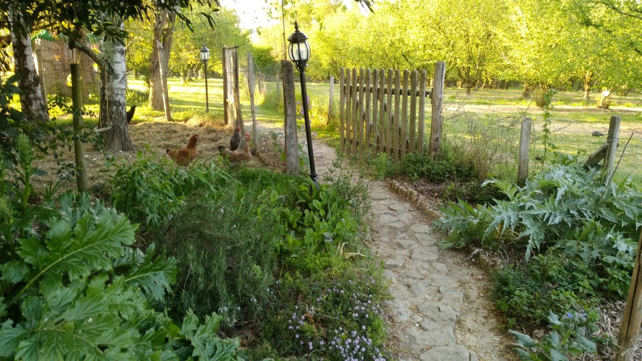 Photo of Outdoor in Moulinet