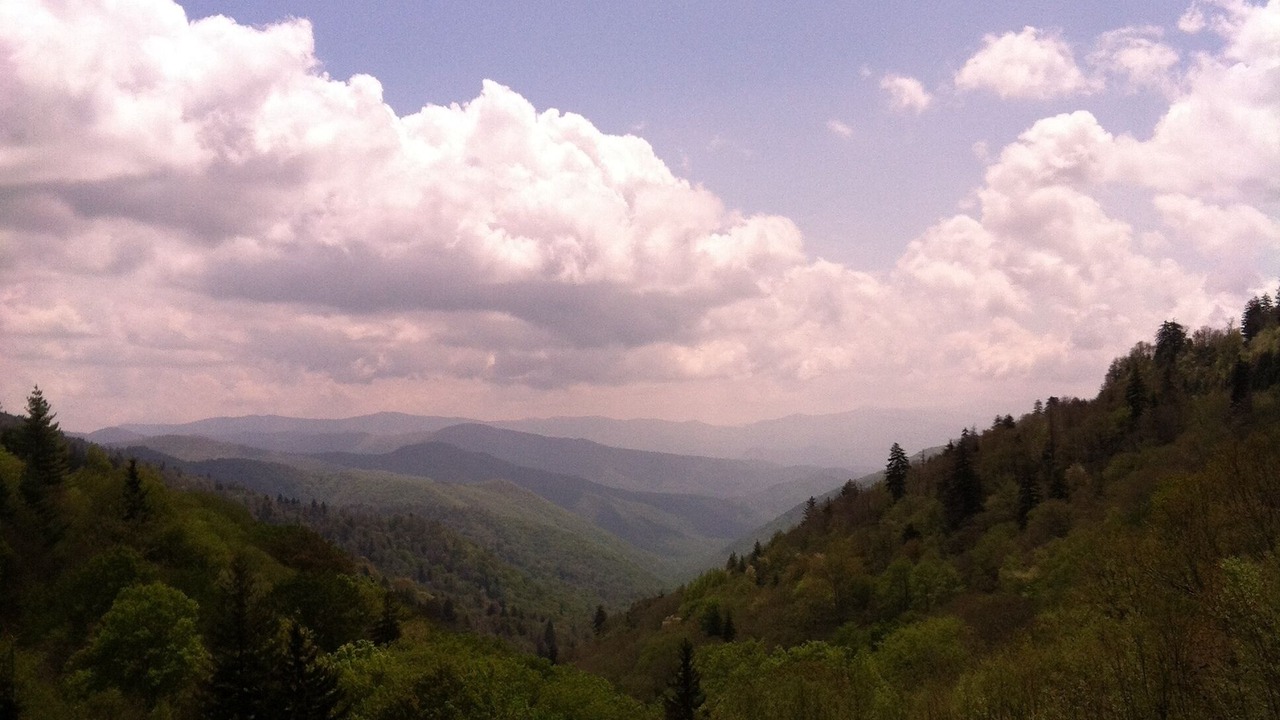 Photo of Others in Waynesville