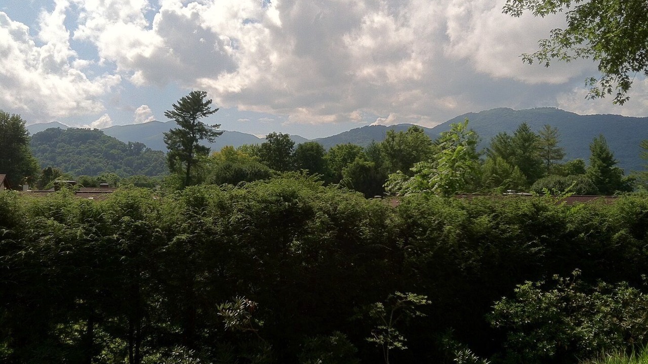 Photo of Others in Waynesville