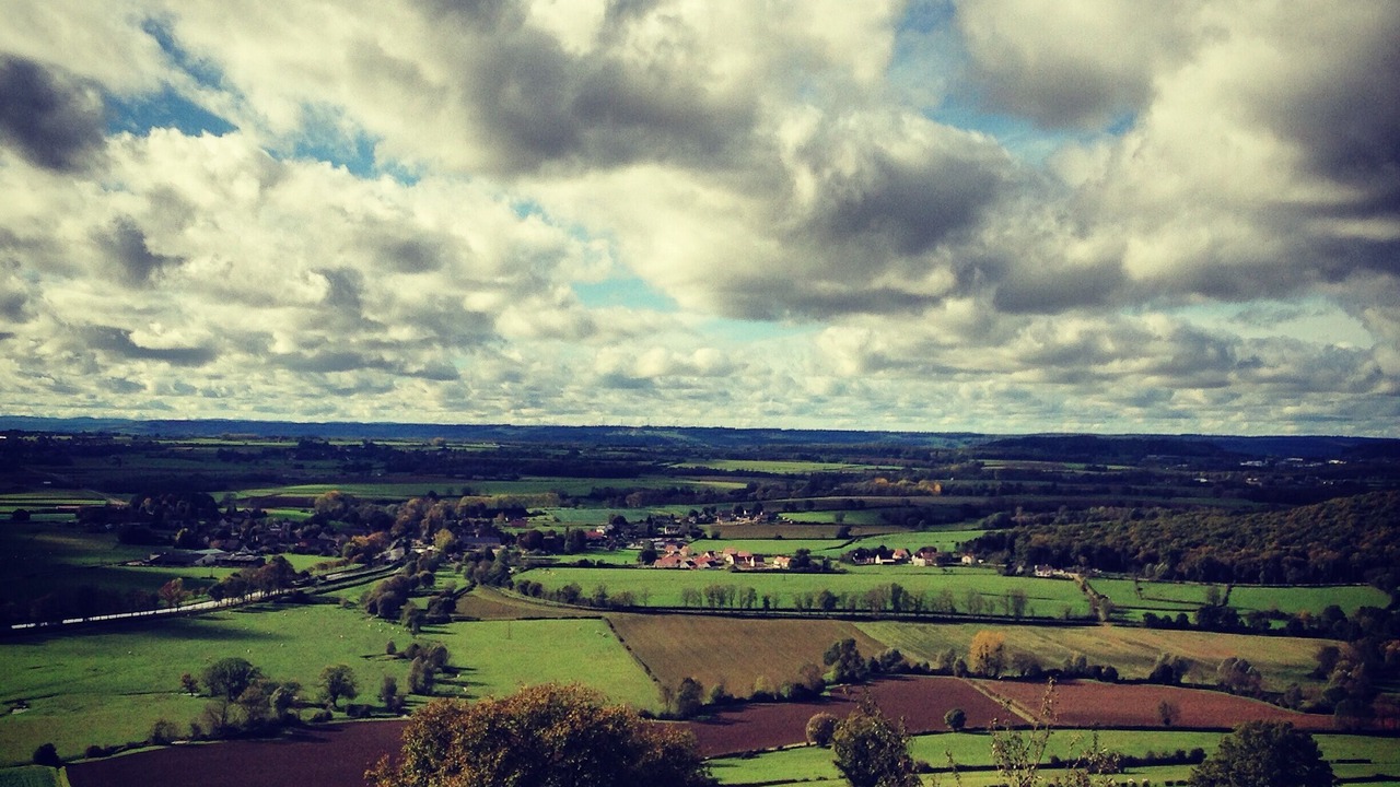 Photo of Others in Commarin