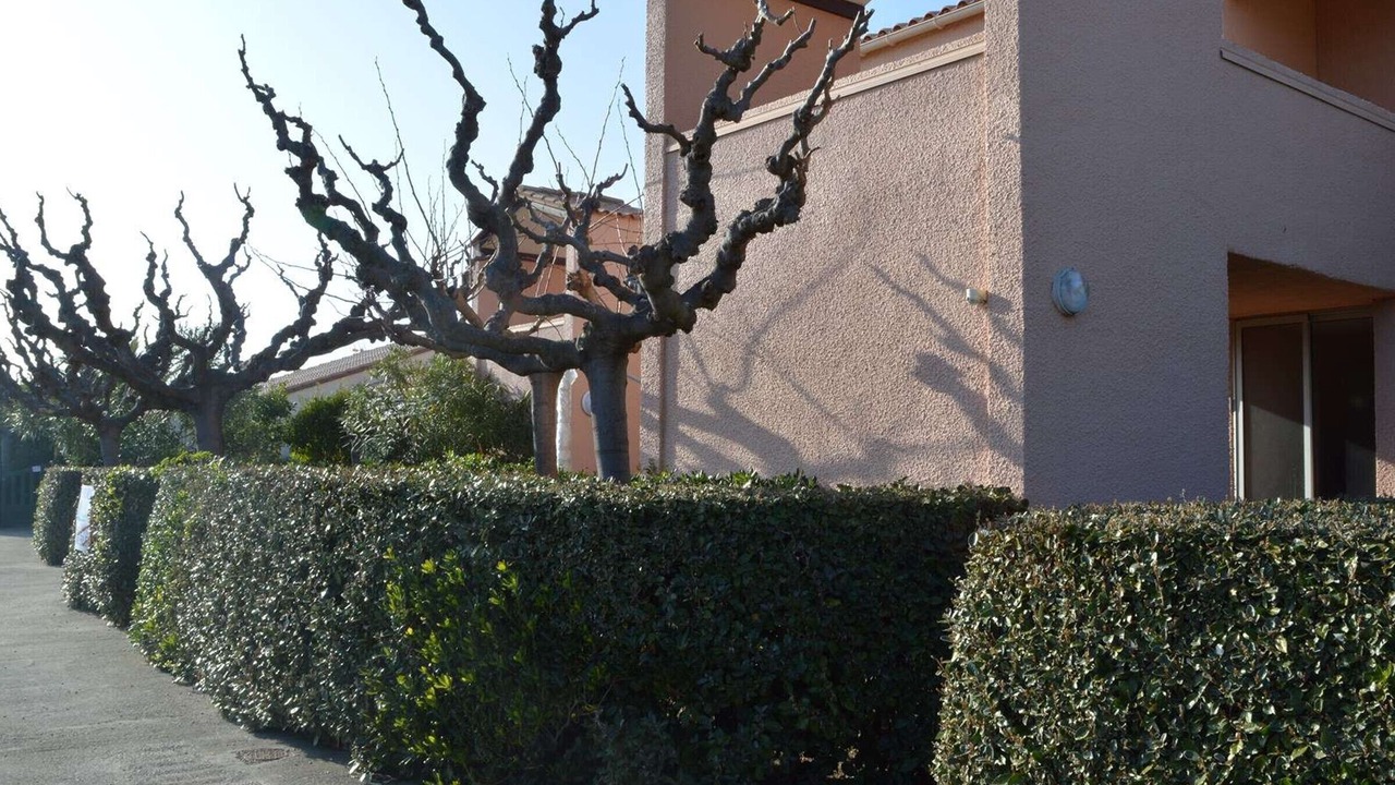 Photo of Outdoor in Saint-Cyprien Plage