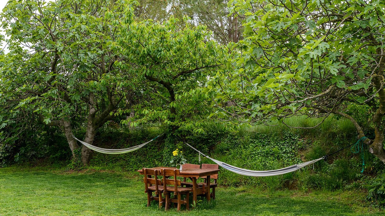 Photo of Outdoor in Llado