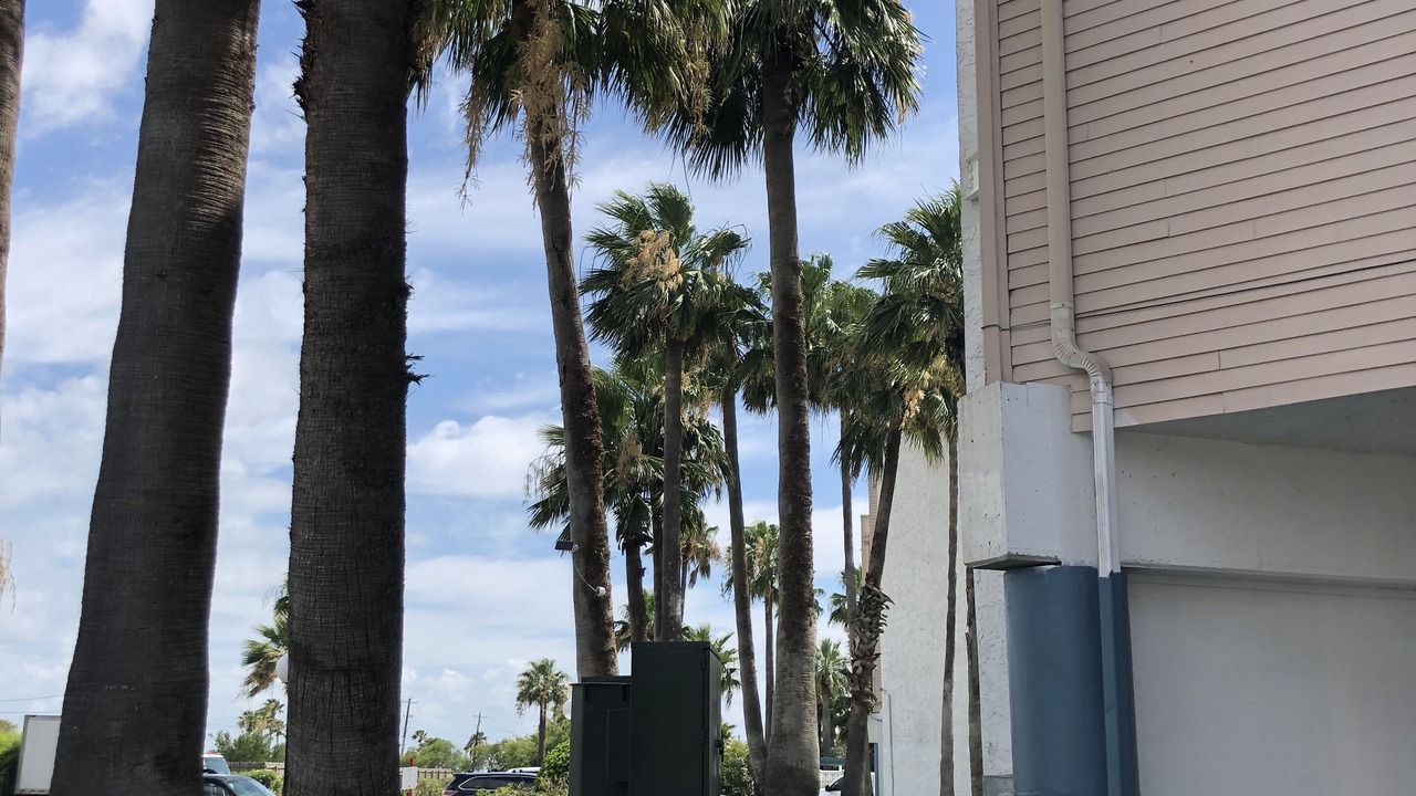 Photo of Others in North Beach