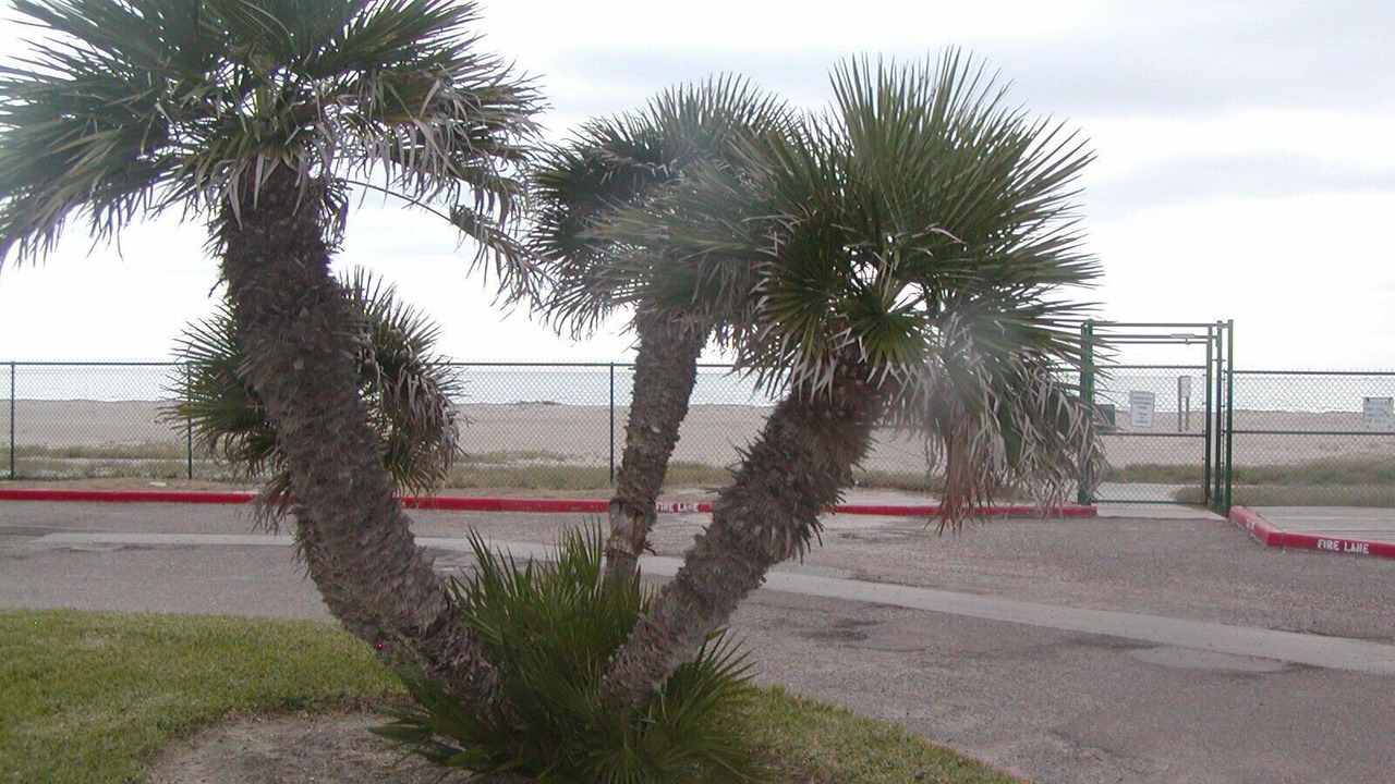 Photo of Others in North Beach