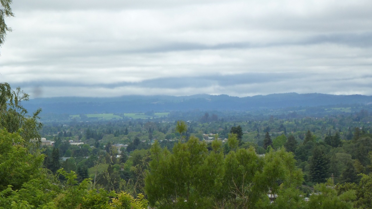 Photo of Others in Santa Rosa
