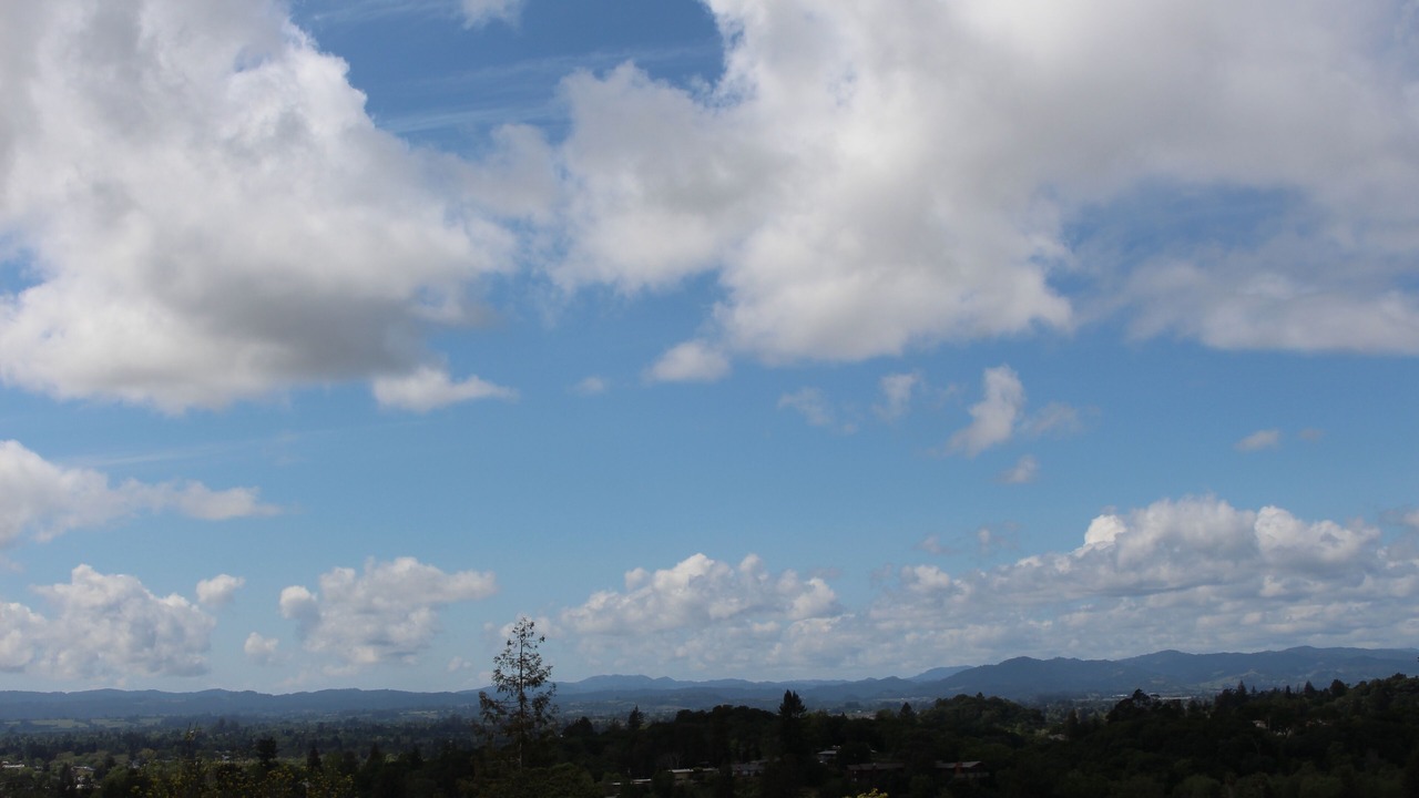 Photo of Others in Santa Rosa