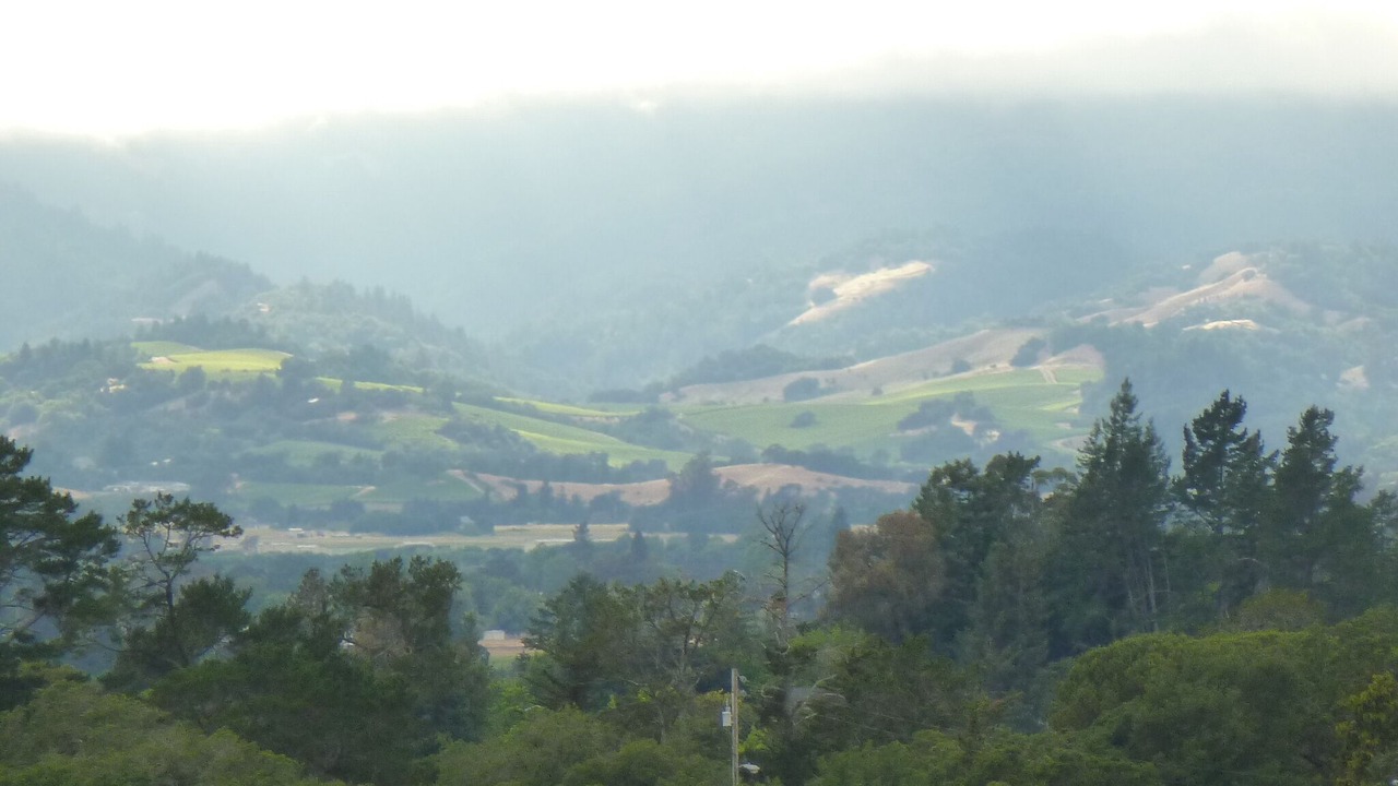 Photo of Others in Santa Rosa