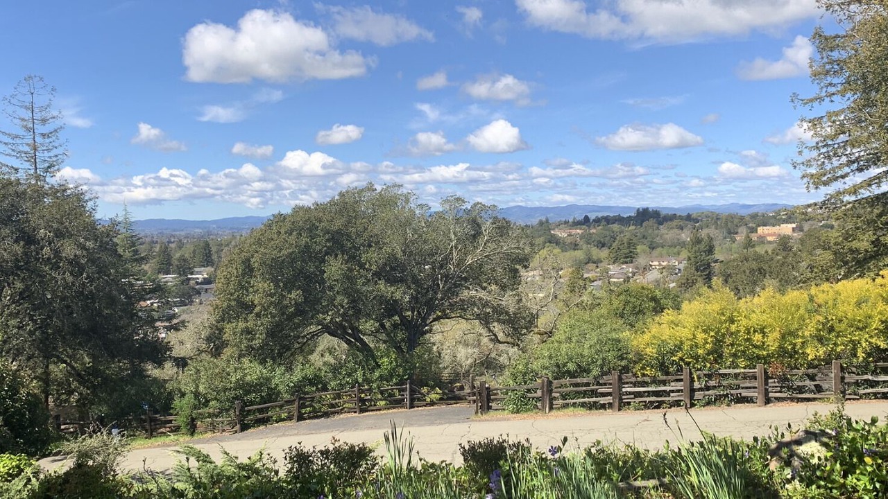 Photo of Bedroom in Santa Rosa