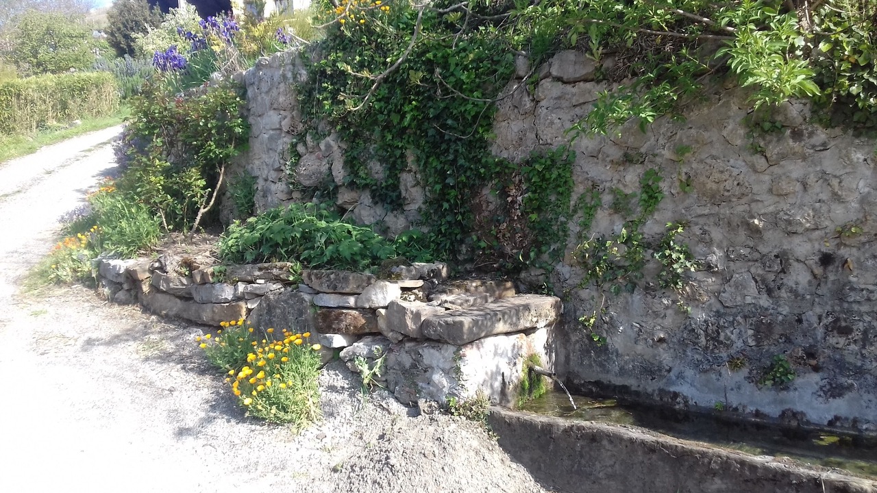 Photo of Outdoor in Leychert