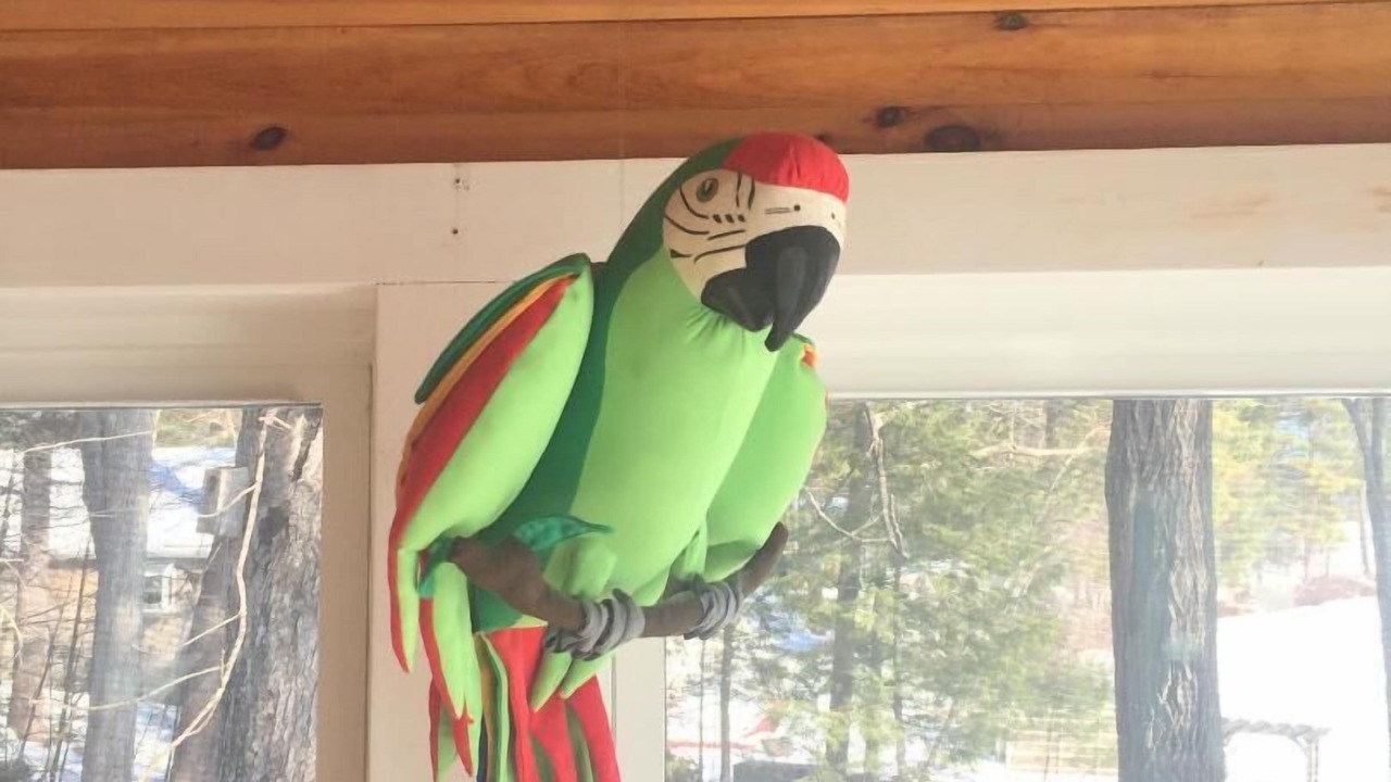 Photo of Others in Middleton