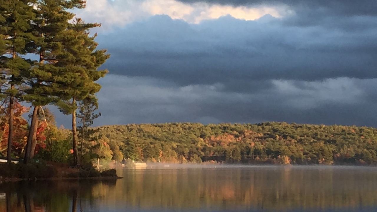 Photo of Others in Middleton