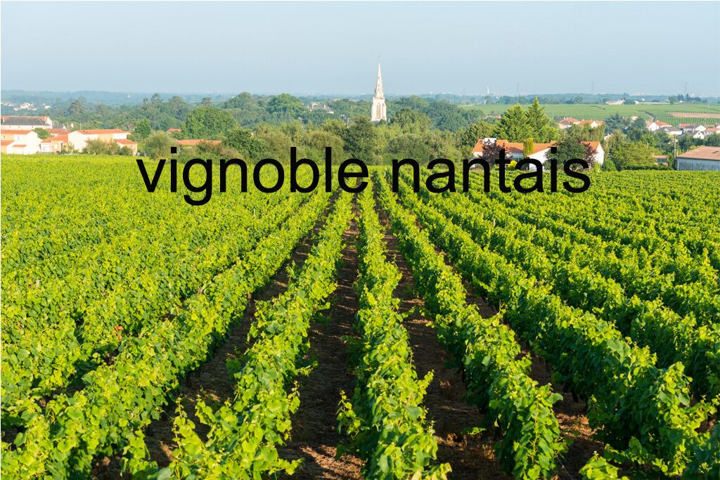 Photo of Outdoor in La Haie-Fouassiere